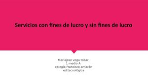 Servicios Con Fines De Lucro Y Sin Fines De Lucro