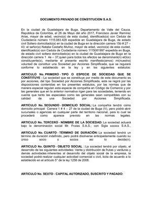 Sociedad Po Acciones Simplificada S A S