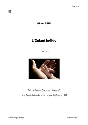 L'Enfant Indigo