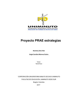 Estrategias Proyecto Prae