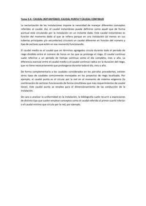 Caudal Instantáneo, Caudal Punta Y Caudal Contínuo Francisco Javier Cervigon Ruckauer