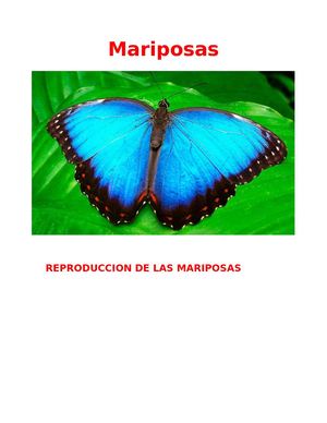 Mariposas