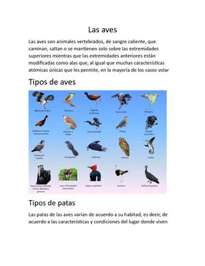 Las Aves