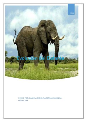 Cuál Fue El Origen De Los Elefantes