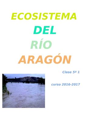 Rio Aragon
