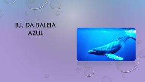 Bi Da Baleia Azul
