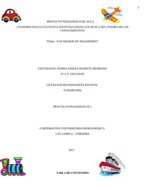 Ppa Mediso De Transportes