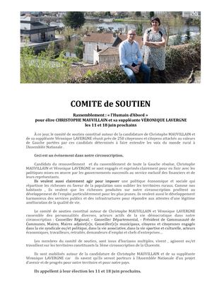 Comite Soutien C Mauvillain V Lavergne