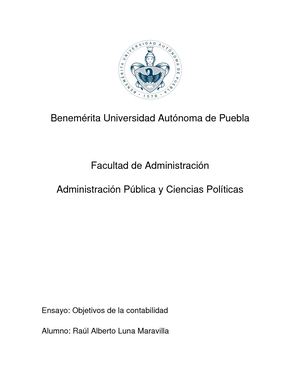 Ensayo Estructura Básica De La Contabilidad En Términos Generales