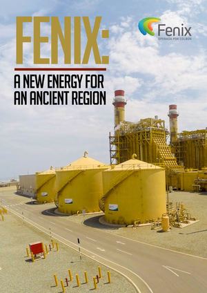 Fenix Power