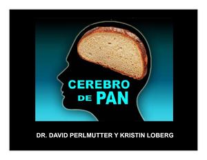 Cerebro De Pan