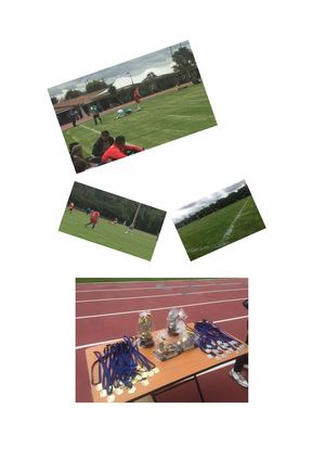 praxiologia, conducta e interacción motriz