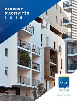 Sfhe Rapport Activités 2016