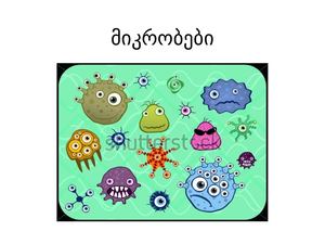 მიკრობები