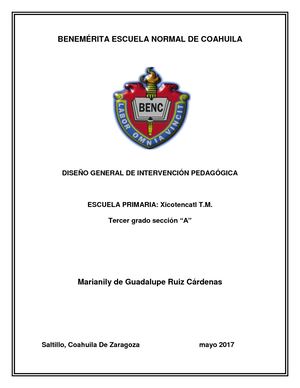 Plan De Intervención