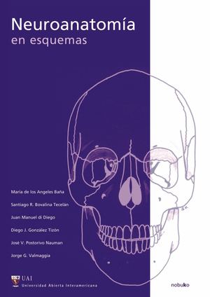 Neuroanatomía Esquemas