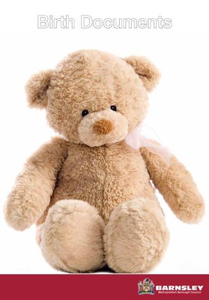 Barnsley MBC Parents Folder