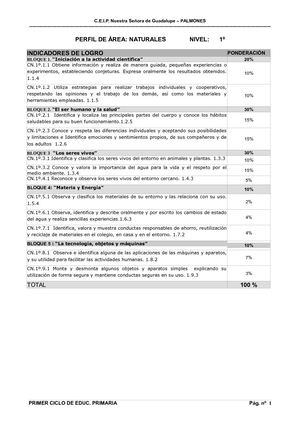 Perfil De ÁRea 1 Cn Rev