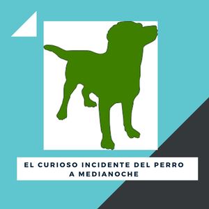 El Curioso Incidente Del Perro A Medianoche (3)