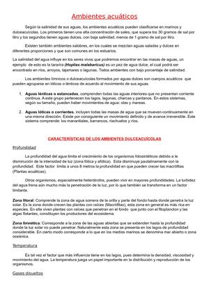 Según La Salinidad De Sus Aguas