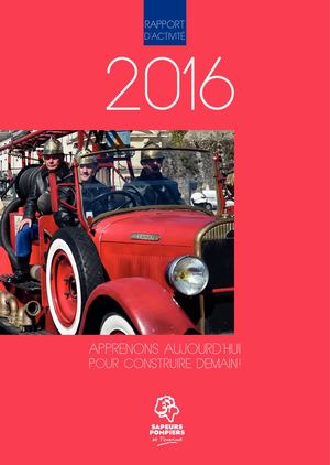 Rapport d'activité 2016