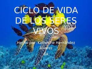 Ciclo De Vida De Los Seres Vivos