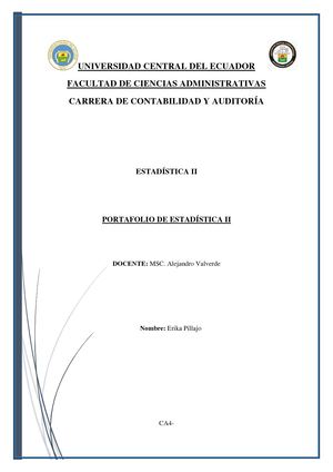 Pillajo Erika Portafolio