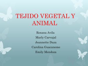 Tejido Vegetal Y Animal