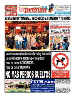 Edición Impresa Nº 290