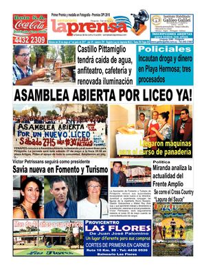 Edición Impresa Nº 291