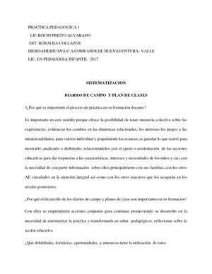 SISTEMATIZACIÓN DIARIOS DE CAMPO Y PLANES DE CLASE