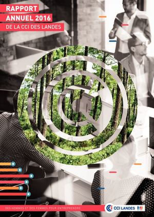 Rapport annuel 2016 - CCI des Landes