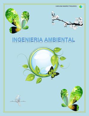 Ingenieria Ambiental