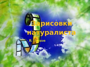 Зарисовки натуралиста (Песков В )