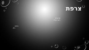 מצגת תמונות יריד סוכני נסיעות צרפת