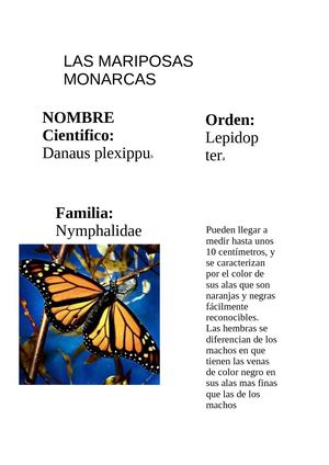 Trabajos realizados por los alumnos y alumnas de 4to grado de la Escuela La aldea