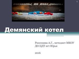 Демянский котел