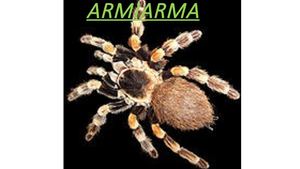 Armiarma