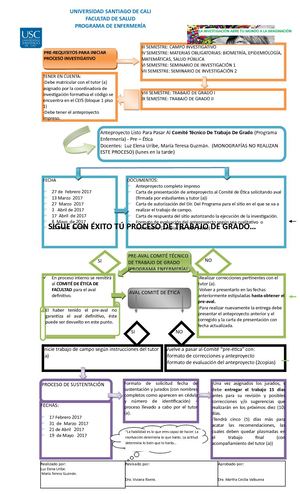 Flujograma Investigacion Programa De Enfermeria 2017 A