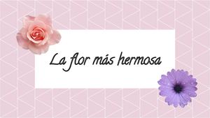 La Flor Más Hermosa - Cuento Ilustrado