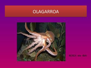 Olagarroa