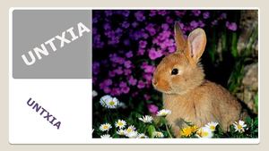 UNTXIA (1).