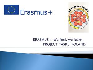 Project Tasks Poland Short