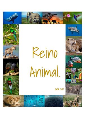 Reino Animal