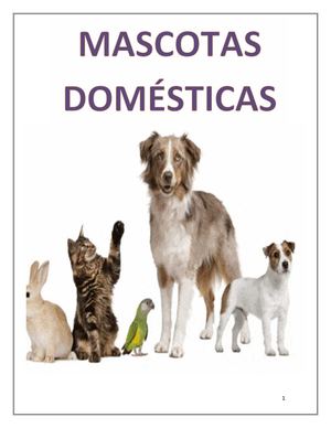 Las Mascotas Domesticas Revista