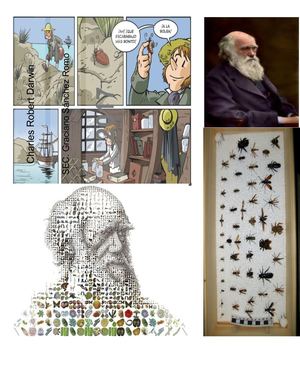 Importancia De Las Aportaciones De Darwin