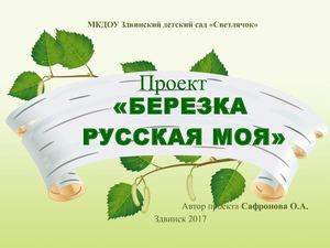 ПОЧЕМУЧКИ презентация проекта береза 06 2017
