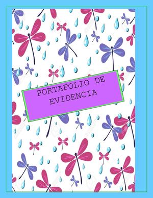 Lorena Araque Portafolio De Evidencia