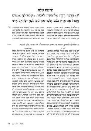 במדבר פרק יג