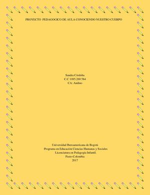 Proyecto Pedagogico De Aula